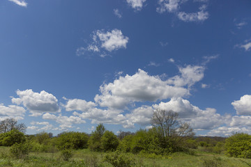 Countryside landscape at spring with field and mountain in the background and blue sky and fluffy white clouds, Croatia
