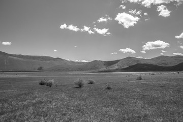 Black and white countryside landscape at spring with field and mountain in the background and blue sky and fluffy white clouds, Croatia
