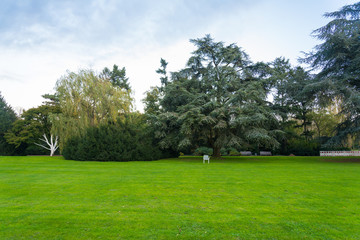 Fototapeta na wymiar Landscape scenery of Nordpark in Düsseldorf, Germany