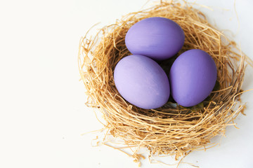 Purple colored Easter eggs in nest on wooden background, selective focus image. Happy Easter card 