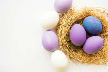 Purple colored Easter eggs in nest on wooden background, selective focus image. Happy Easter card 