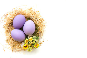Purple colored Easter eggs in nest on wooden background, selective focus image. Happy Easter card 