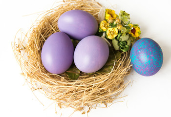 Purple colored Easter eggs in nest on wooden background, selective focus image. Happy Easter card 