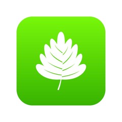 Hawthorn leaf icon digital green