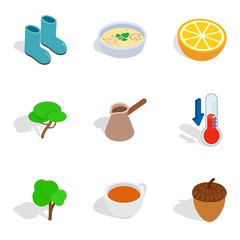 Macrobiotic icons set, isometric style