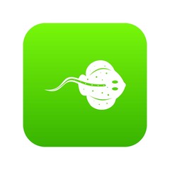 Stingray fish icon digital green