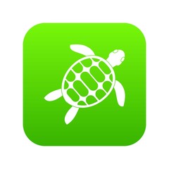 Turtle icon digital green
