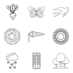 Wheat variety icons set, outline style
