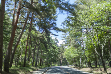 快晴のビーナスライン