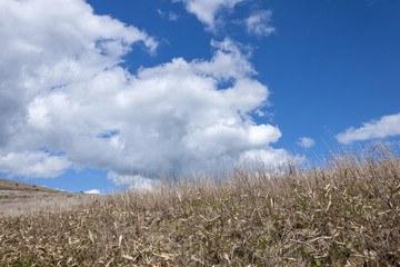 快晴のビーナスライン
