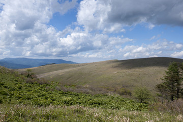 快晴のビーナスライン