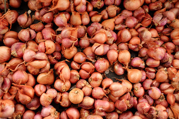 pile of shallots at the market.