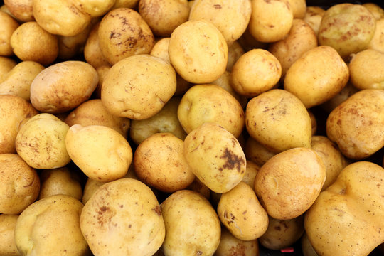Pile of golden potatoes at the market.