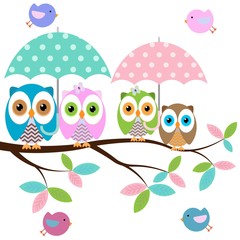 Four colorful owls with umbrella sitting on the branch and flying birds on a white background