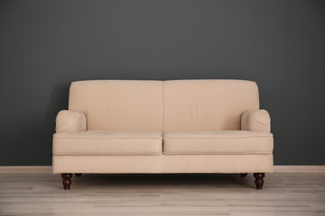 Elegant room interior with comfortable sofa