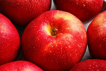 Ripe red apples with water drops, closeup