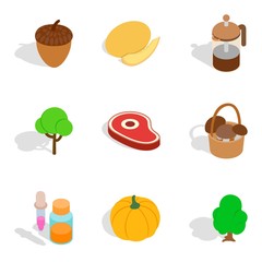 Full belly icons set, isometric style