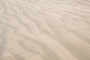 Fototapeta na wymiar beach closeup, sand pattern - sand ripples texture