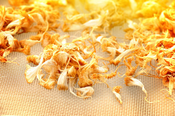 small pieces of monkey's head mushroom dried on grill by sunlight, ingredient of herb tea © huawoon