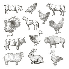 Collection of farm animals.