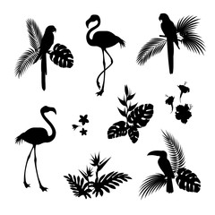 Flamingo bird and Parrot bird black silhouettes