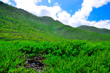 Petites Cayes landscape 3