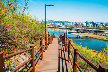 Naklejka premium View of Seoul city and Han river with forsythia flower from Eungbongsan mountain