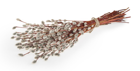 Willow twigs on a white background © azure