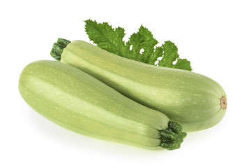 Squash vegetable marrow zucchini isolated on white background