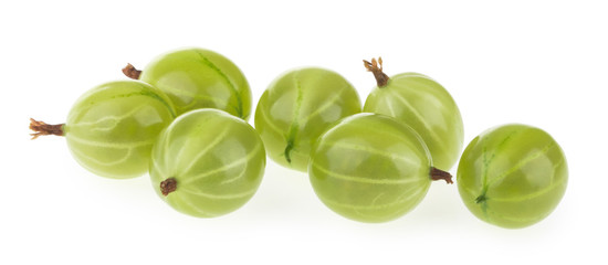 gooseberry isolated on white background