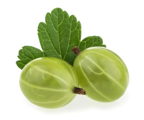 gooseberry isolated on white background