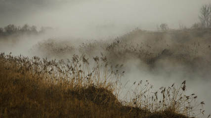 Morning fog landscape - 197123341