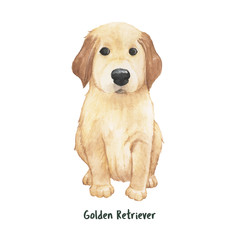 Illustration of a golden retriever puppy © Rawpixel.com