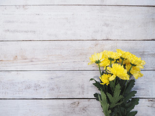 Yellow Chrysanthemums flowers on vintage white wood.