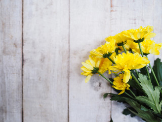 Yellow Chrysanthemums flowers on vintage white wood.