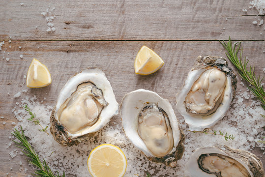 Dozen fresh oysters on a sea salt and lemon. Top view