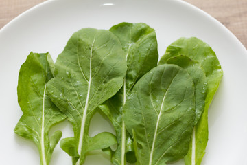Arugula leaf or Rocket Salad. Vegetable on white dish and wooden table. Overhead close up of meal.