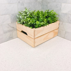Green plant in a wooden box in the kitchen corner