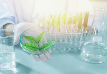 green herbal medicine research discovery vaccine at science lab