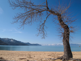 Landscape of Lake Tahoe