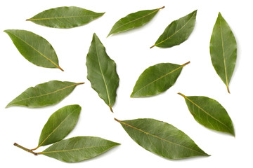 Laurel leaves isolated on a white background top view