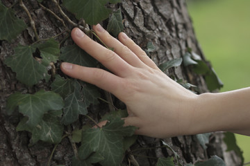 Touche &agrave; tout