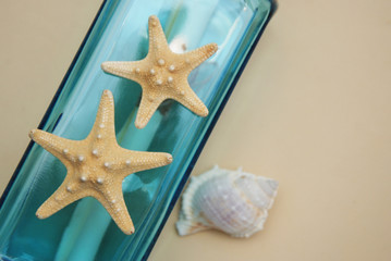 Fototapeta na wymiar Nautical Theme Backdrop, Decorative Bottle with Shells, Starfish on Neutral Ivory Background. Place for text. Selective focus.