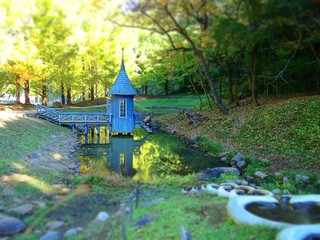 森の池に浮かぶ妖精の青い家