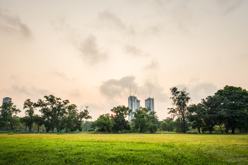 Green grass field with building in Public Park