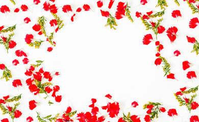 frame of red petals and leaves on a white background