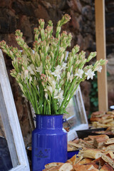 Tuberose flower decorating a brunch table