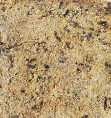 Heap of wet sawdust with splashes of branches and leaves