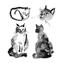 Wet to wet watercolor ink illustration of the fluffy siberian cat on white background. Collection of cute cat in different pose