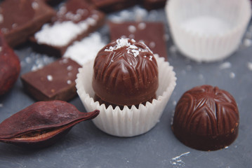Chocolates Pieces Isolated on Gray Background. Chocolate. Fine Pieces of Chocolates. Chocolate Sweets. Horizontal image.